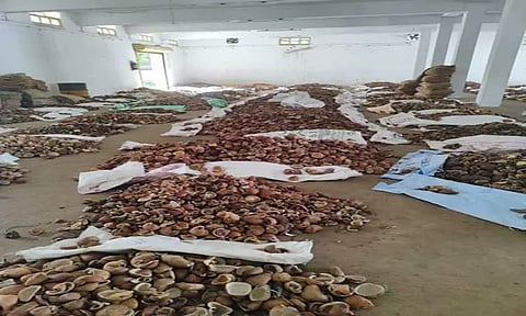 ஆனைமலை ஒழுங்குமுறை விற்பனைக்கூடத்தில் ரூ.12½ லட்சத்திற்கு கொப்பரை தேங்காய் ஏலம்