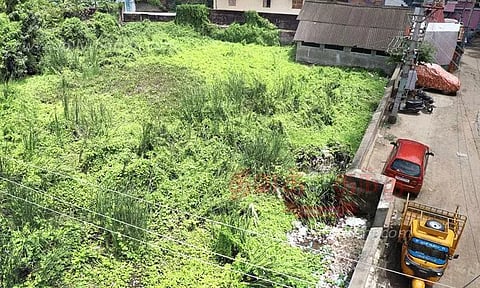 நாகர்கோவிலில் புதர் மண்டி கிடக்கும்தெப்பக்குளத்தை சீரமைக்க வேண்டும்