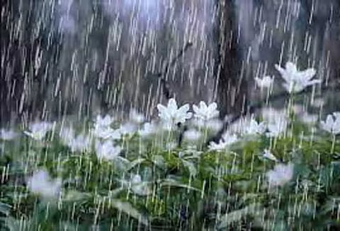 நாமக்கல்லில் கொட்டி தீர்த்த மழை