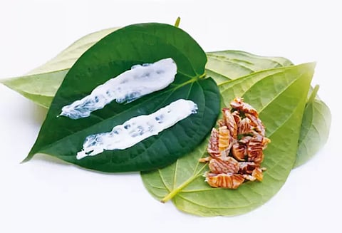 சுண்ணாம்பு மருத்துவம்