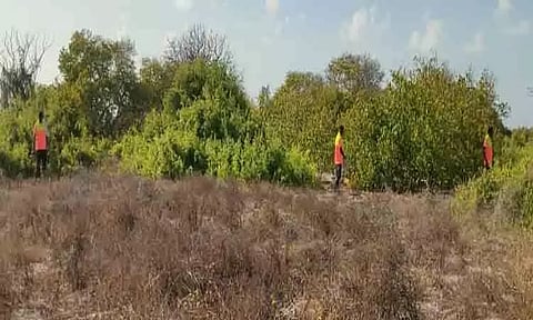 மன்னார் வளைகுடா தீவுகளில் கடலோர போலீசார் சோதனை