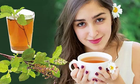 தினமும் துளசி டீ பருகினால்...