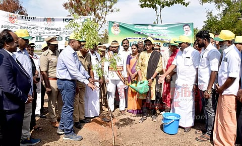 திருவாரூர் மத்திய பல்கலைக்கழக வளாகத்தில் மரக்கன்றுகள் நடும் விழா