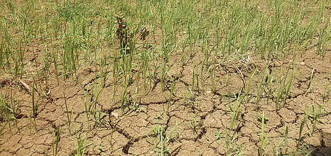 வளப்பாற்றில் கூடுதல் தண்ணீர் திறந்து விட வேண்டும்