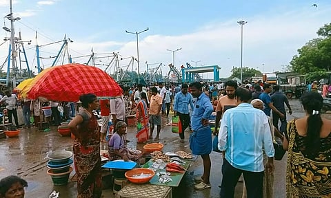 புரட்டாசி மாதம் எதிரொலி:கடலூர் துறைமுகத்தில் மீன்கள் விலை சரிவு