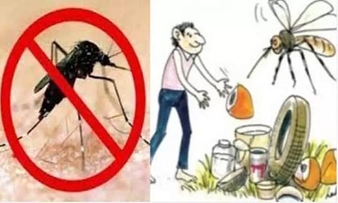 மறைமலைநகர் நகராட்சி பகுதியில் அடுக்குமாடி குடியிருப்புக்கு ரூ.10 ஆயிரம் அபராதம்; டெங்கு கொசு உற்பத்திக்கான ஆதாரங்கள் கண்டுபிடிப்பு