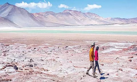 வறண்ட பாலைவனம்