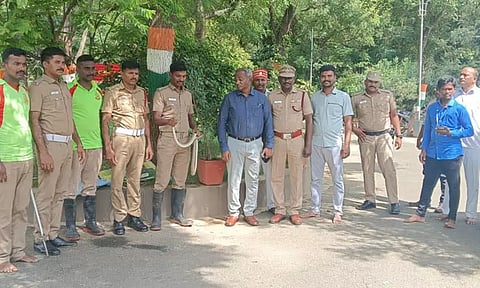 கலெக்டர் பங்களாவில் பாம்பு புகுந்தது