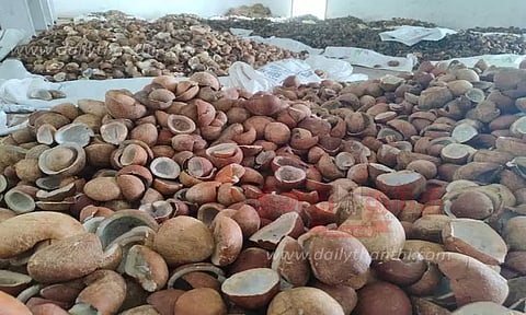 கொப்பரை தேங்காய் ஏலம்