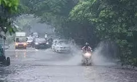 தானேயில் கனமழை; மரம் விழுந்து 9 வாகனங்கள் நொறுங்கின