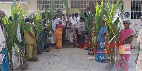 மோசூர் கிராமத்தில் 600 தென்னங்கன்றுகள் வினியோகம்