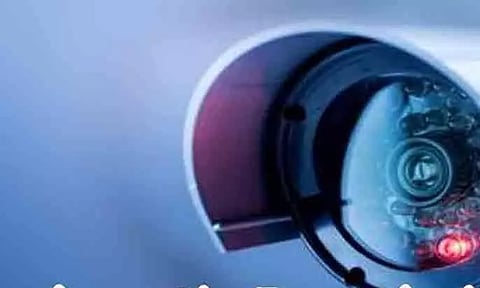 ஸ்ரீவில்லிபுத்தூர் வனப்பகுதி கேமராக்களில் 4 புலிகள் பதிவு