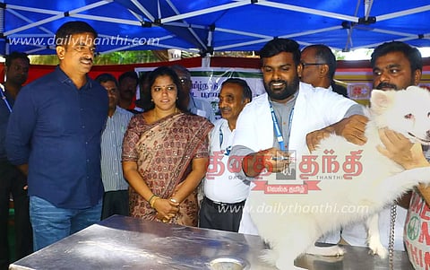 செல்லப்பிராணிகளுக்கான இலவச தடுப்பூசி முகாம்