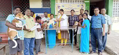 மாவட்ட கால்நடை ஆஸ்பத்திரியில் இலவச தடுப்பூசி முகாம்