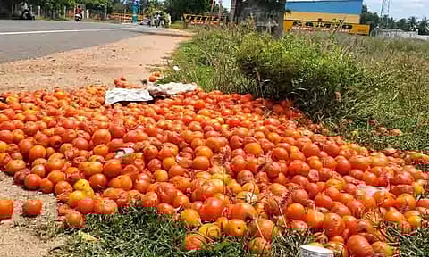 சாலை ஓரத்தில் கொட்டப்பட்ட தக்காளி