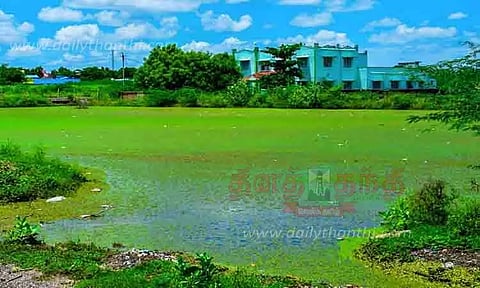 பாசிப்படர்ந்த ஊருணிகள்