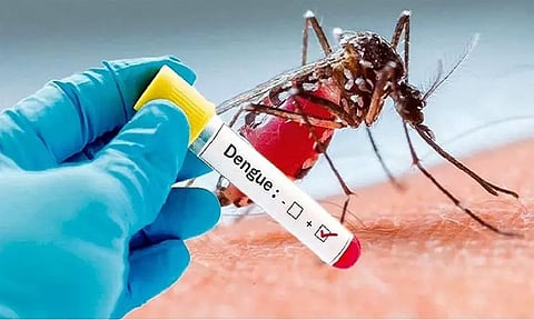 தமிழகத்தில் டெங்கு காய்ச்சலால் பாதிக்கப்பட்டோர் எண்ணிக்கை 600-ஐ கடந்தது..!