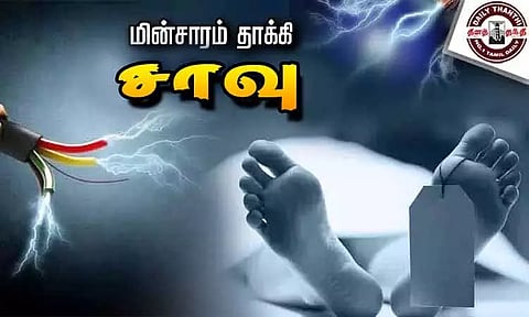 மரத்தில் ஏறி விளையாடியபோது மின்சாரம் தாக்கி 5-ம் வகுப்பு மாணவன் பலி