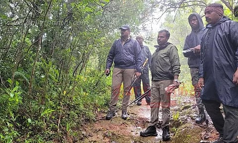 வேட்டை கும்பல் நடமாட்டம் உள்ளதா?