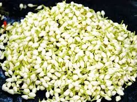 சத்தி மார்க்கெட்டில்மல்லிகைப்பூ கிலோ ரூ.1,080-க்கு ஏலம்