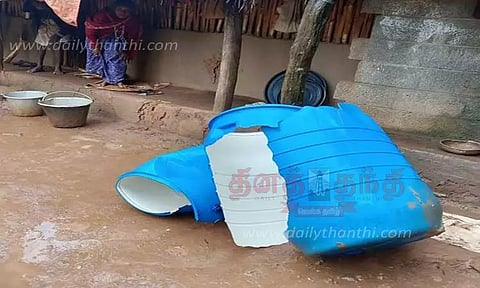 தென்னை மரங்களை சேதப்படுத்திய காட்டு யானை