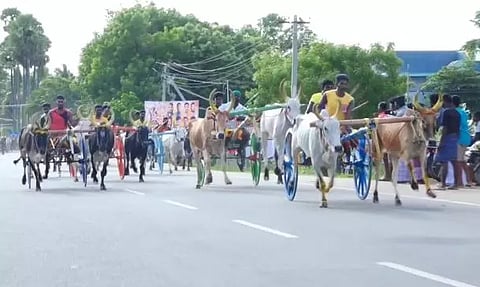 மாட்டு வண்டி எல்கை பந்தயம்