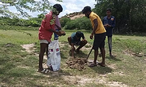 நார்த்தாமலையில் பனைவிதை நட்ட இளைஞர்கள்