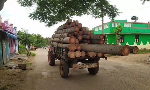 மரங்களை ஏற்றி செல்லும் டிராக்டர்களால் விபத்து அபாயம்