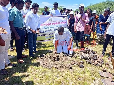 கடற்கரை கிராமங்களில் பனை விதைகள் நடும் பணி