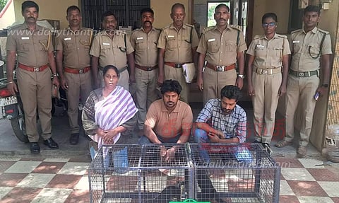 அணில்களை கடத்திய பெண் உள்பட 3 பேர் கைது