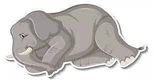 கடம்பூர் அருகே இறந்து கிடந்த மக்னா யானை