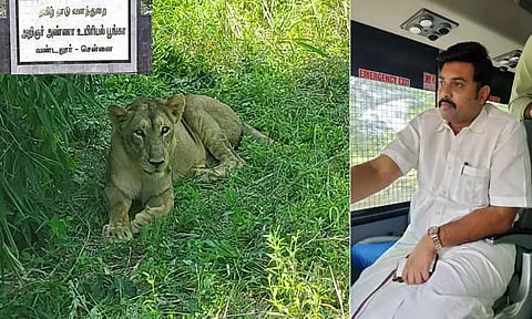 வண்டலூர் உயிரியல் பூங்காவில் 3 ஆண்டுகளுக்கு பிறகு சிங்கம், மான்களை பஸ்சில் சென்று பார்க்கும் வசதி