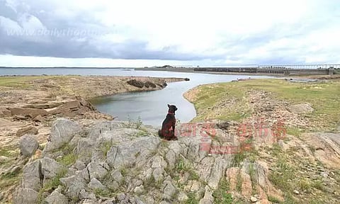 நீர்ப்பிடிப்பு பகுதியில் கனமழை: கே.ஆர்.எஸ். அணைக்கு நீர்வரத்து மேலும் அதிகரிப்பு