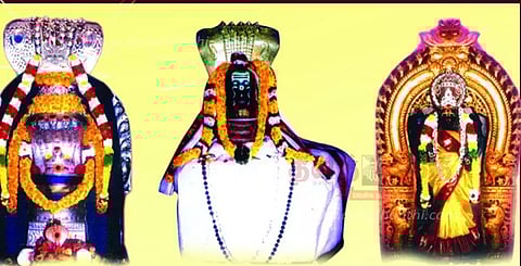 திருப்பாம்புரம் சேஷபுரீஸ்வரர் கோவிலில் ராகு-கேது பெயர்ச்சி விழா