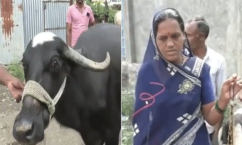 screengrab from video tweeted by @AHindinews