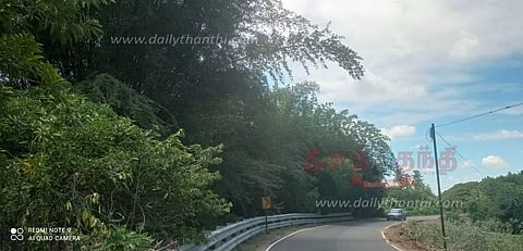 போக்குவரத்துக்கு இடையூறாக உள்ள மூங்கில் மரங்கள் அகற்றப்படுமா?