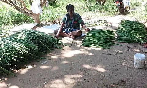 முருங்கைக்காய் கிலோ ரூ.70-க்கு விற்பனை