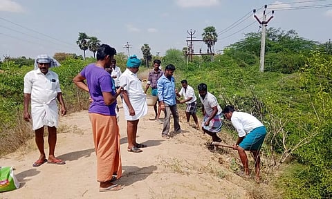 ஏரிக்கரையில் 4 ஆயிரம் பனைவிதைகள் விதைப்பு