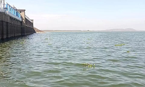 வைகை அணை நீர்மட்டம் 50 அடியாக உயர்வு