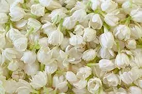 சத்தி மார்க்கெட்டில் மல்லிகைப்பூ கிலோ ரூ.840-க்கு ஏலம்