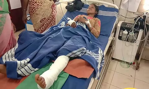 கரடிகள் தாக்கி 2 பெண்கள் படுகாயம்