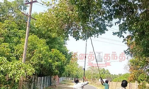 மின்பாதையில் இடையூறாக இருந்த மரங்கள் அகற்றம்