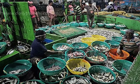 தூத்துக்குடியில் 5 நாட்களுக்கு பிறகு கடலுக்கு சென்ற விசைப்படகு மீனவர்கள்