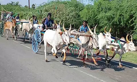 சிவகங்கை அருகே பந்தயம்: சீறிப்பாய்ந்த மாட்டு வண்டிகள்