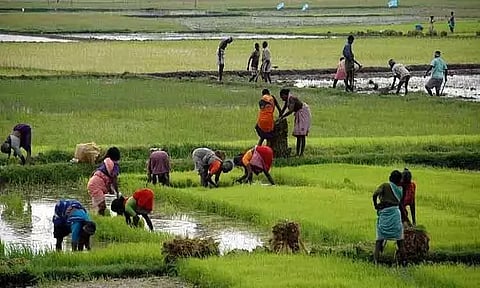 குடும்ப விவசாயம்