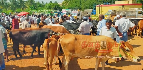 சீனாபுரம் சந்தையில் ரூ.1 கோடிக்கு கால்நடைகள் விற்பனை