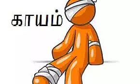 விருதுநகரில் மின்வேலியில் விழுந்த இளம்பெண் படுகாயம்