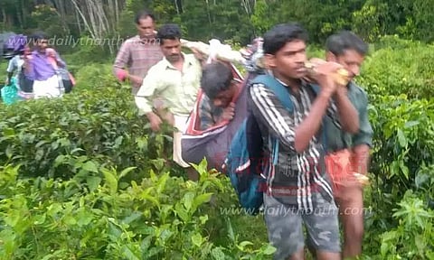 காட்டெருமை தாக்கி தொழிலாளி படுகாயம்