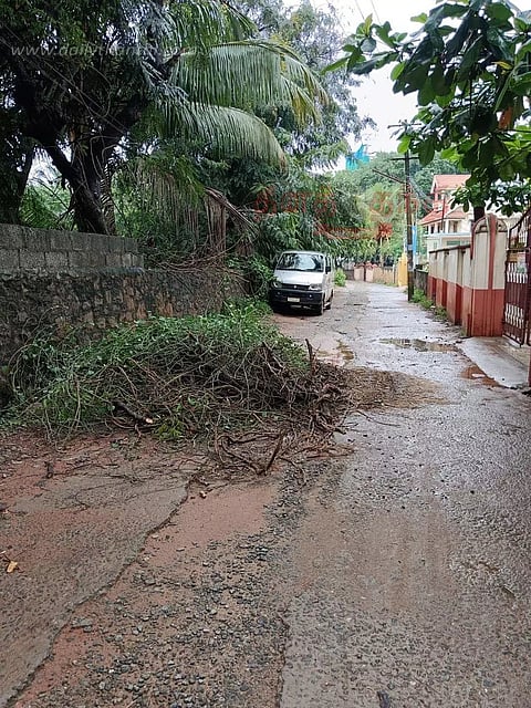 தினத்தந்தி புகார் பட்டி