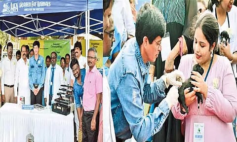 தெரு நாய்களை பொதுமக்கள் தத்தெடுத்து பராமரிக்க வேண்டும் - சென்னை மாநகராட்சி கமிஷனர் ராதாகிருஷ்ணன் வேண்டுகோள்